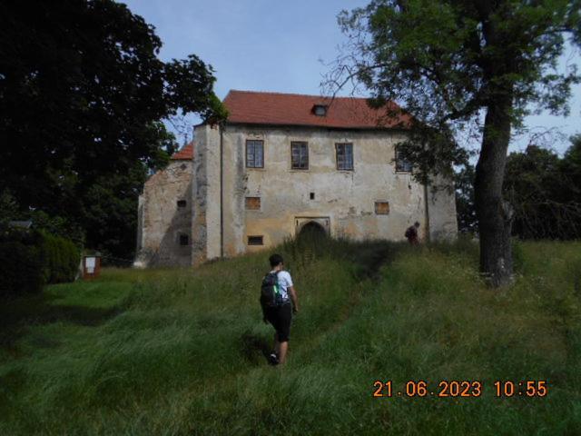 Kopretina Apartment Cerne Udoli Bagian luar foto